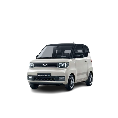 Hongguang Mini EV